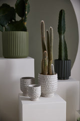 Adrien Textured Carved Pots By Accent Decor