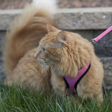 Comfort Soft Adjustable Cat Harness with 6' Leash