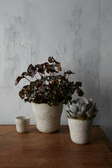 Amstel Ceramic Pots By Accent Decor