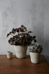 Amstel Ceramic Pots By Accent Decor
