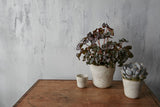 Amstel Ceramic Pots By Accent Decor