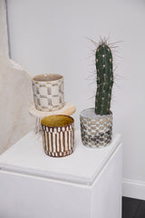 Anselm Hand-Painted Textured Pots By Accent Decor