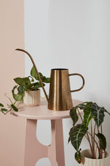 Antalya Metal Watering Can By Accent Decor