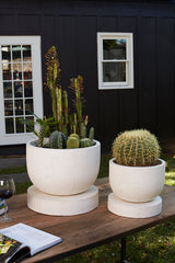 Archer Concrete Planters By Accent Decor