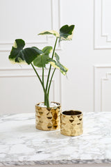 Architect Ceramic Pots By Accent Decor