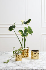 Architect Ceramic Pots By Accent Decor