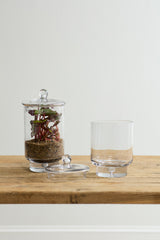 Asteridge Terrariums By Accent Decor