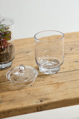 Asteridge Terrariums By Accent Decor
