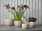 Astrid Ceramic Pots By Accent Decor