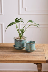 Aurina with Saucer Pots By Accent Decor