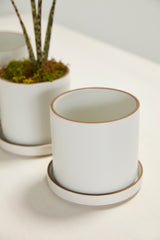 Author with Saucer Matte Ceramic Pots By Accent Decor