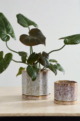 Avenell Pots By Accent Decor