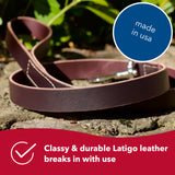 Circle T Latigo Leather Dog Leash, 6'