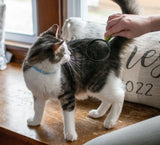 Li'l Pals Elasticized Safety Kitten Collar with Jeweled Bow