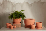 Baden Ceramic Pots By Accent Decor