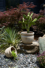 Balos Ceramic Planters By Accent Decor