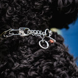 Micro-Plus Prong Dog Training Collar, 10"