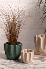 Beaumont Ceramic Pots By Accent Decor