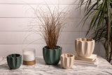 Beaumont Ceramic Pots By Accent Decor