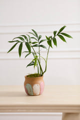 Belinda Pot By Accent Decor