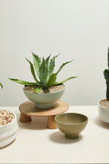 Beltline with Saucer Ceramic Bowls By Accent Decor