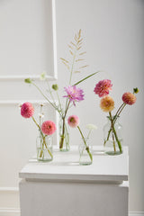 Billie Glass Decorative Jars By Accent Decor