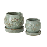 Biloba with Saucer Ceramic Pots By Accent Decor