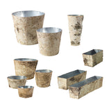 Birch with Zinc Wood Decorative Vessels By Accent Decor