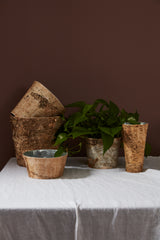 Birch with Zinc Wood Decorative Vessels By Accent Decor