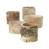 Birch Cylinder Wood Decorative Accents By Accent Decor