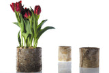Birch Cylinder Wood Decorative Accents By Accent Decor