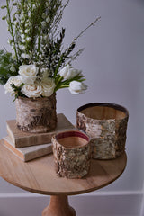 Birch Cylinder Wood Decorative Accents By Accent Decor