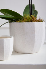Bona Textured Carved Pots By Accent Decor