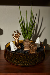 Bone Yard Plastic Terrarium By Accent Decor