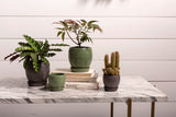 Bradford Ceramic Pots By Accent Decor