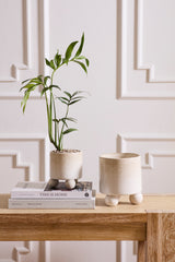 Branco Pots By Accent Decor