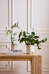 Branco Pots By Accent Decor