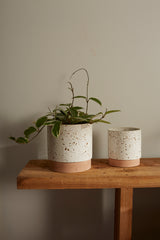 Briar Ceramic Pots By Accent Decor