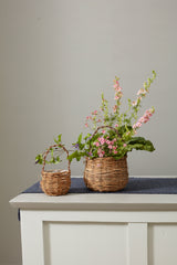 Briarwood Natural Baskets By Accent Decor