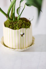 Bumble Bee with Saucer Pot By Accent Decor
