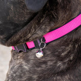Round Dog Bells, Gold, 3-Pack