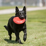 KONG Flyer Dog Toy, Large - view 3