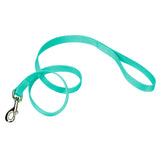 Single-Ply Nylon Dog Leash, 6' - X-Small - 3/8" x 6' / Teal