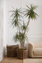 Cabana Wood Baskets By Accent Decor