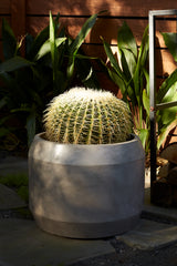 Caldwell Concrete Planter By Accent Decor