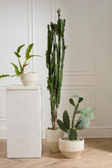 Cameron Pots By Accent Decor