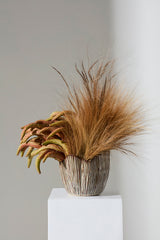Capira Pots By Accent Decor
