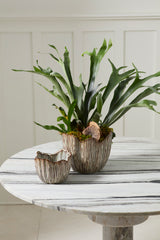 Capira Pots By Accent Decor