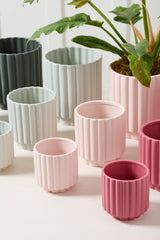 Carmen Matte Ceramic Pots By Accent Decor