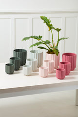 Carmen Matte Ceramic Pots By Accent Decor